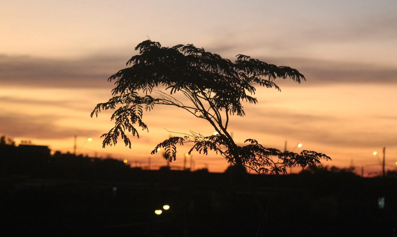 Outono 2026: Chuvas diminuem, mas frio deve demorar a chegar em Juiz de Fora e região