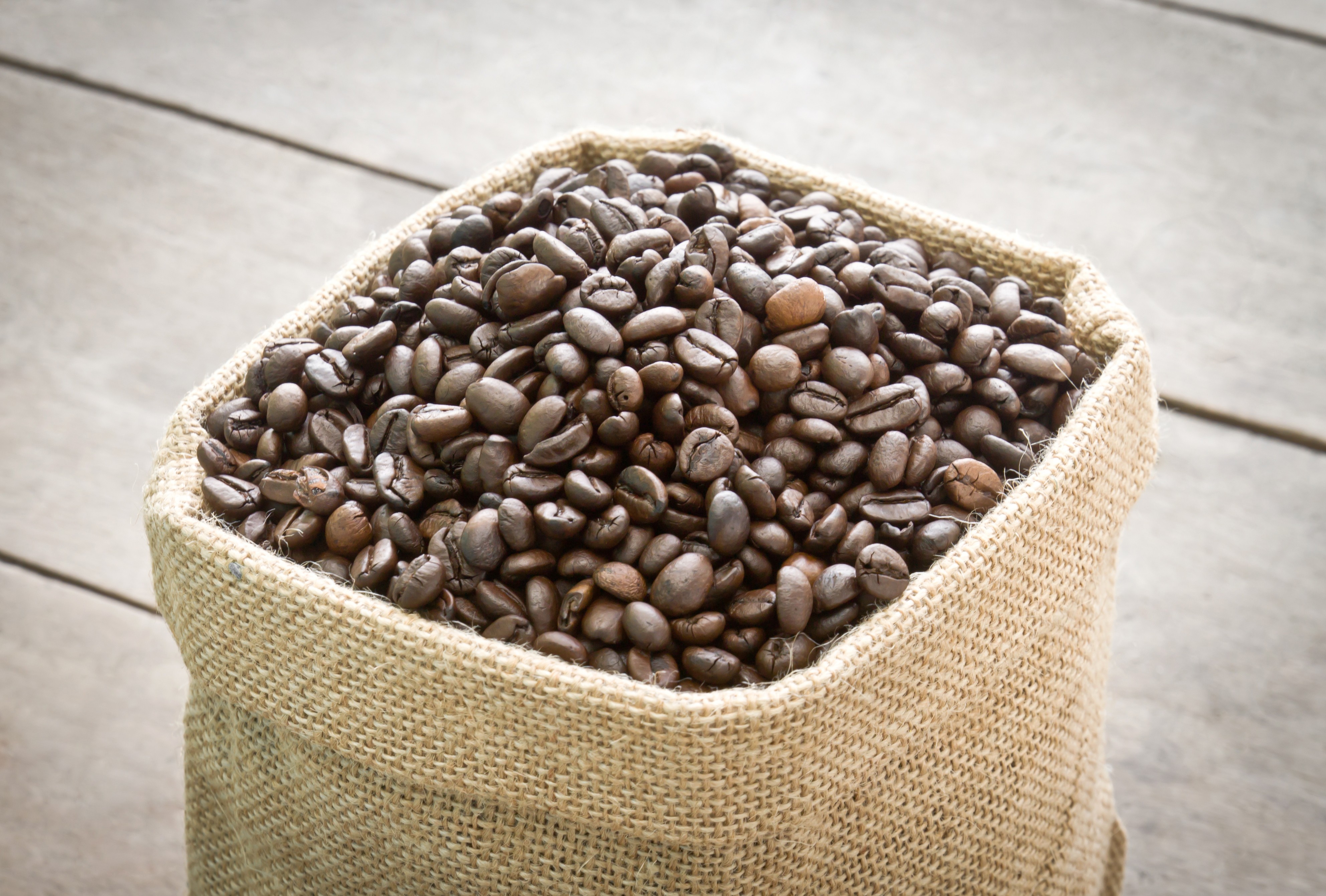 1 saca de café pode retirar até 100 kg de carbono da atmosfera