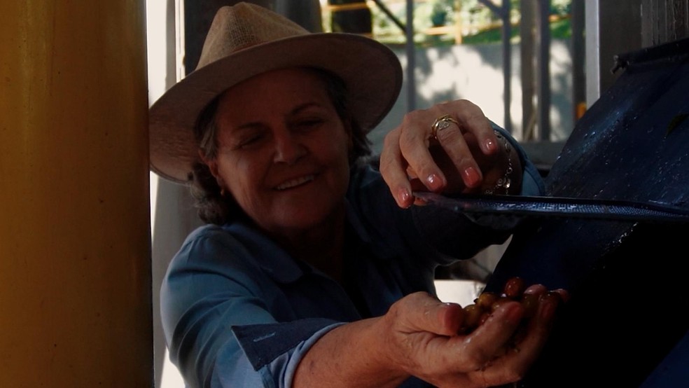 Café do Sul de Minas é exportado em veleiro de baixo impacto ambiental - Crédito: Gustavo Coetti