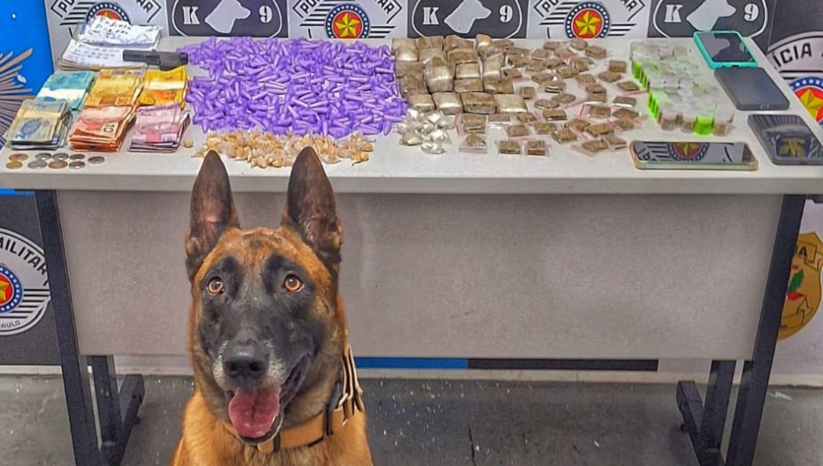 Você Não Tá Convidada pro Meu Bat Mitzvá!