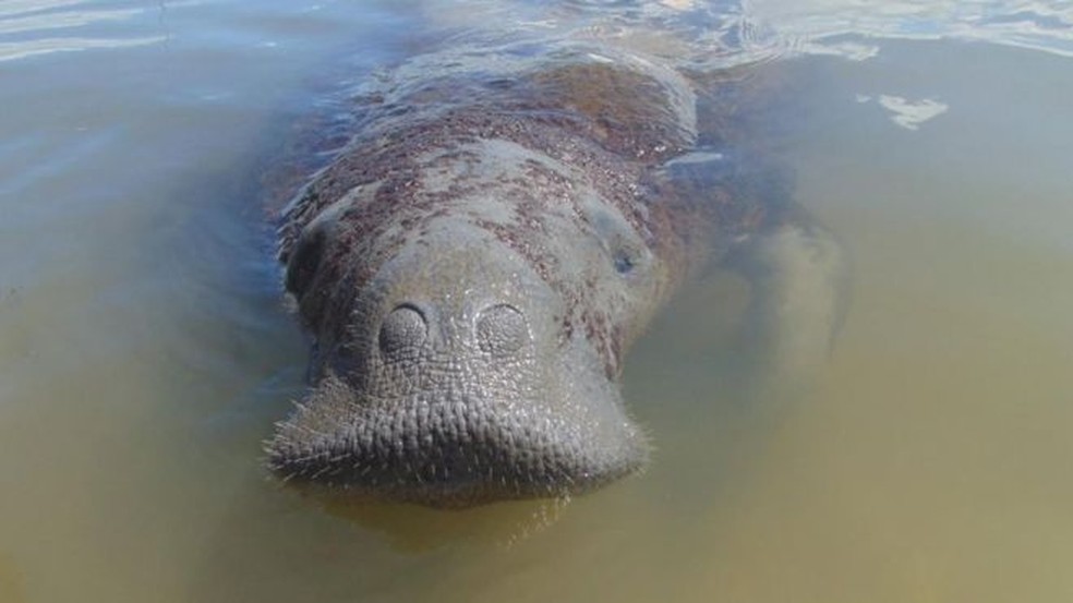 Peixe olho-de-boi é desafio em pescaria pelo Oceano Pacífico na Colômbia, Terra da Gente