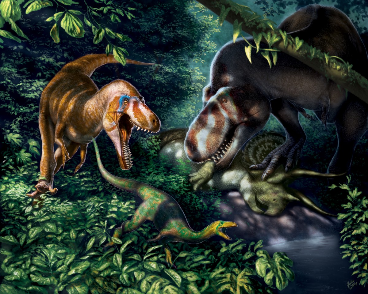 Tiranossauro Rex era tão inteligente quanto babuínos, revela estudo