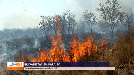 Paraíso do Tocantins abre inscrições para brigadistas; entenda os critérios