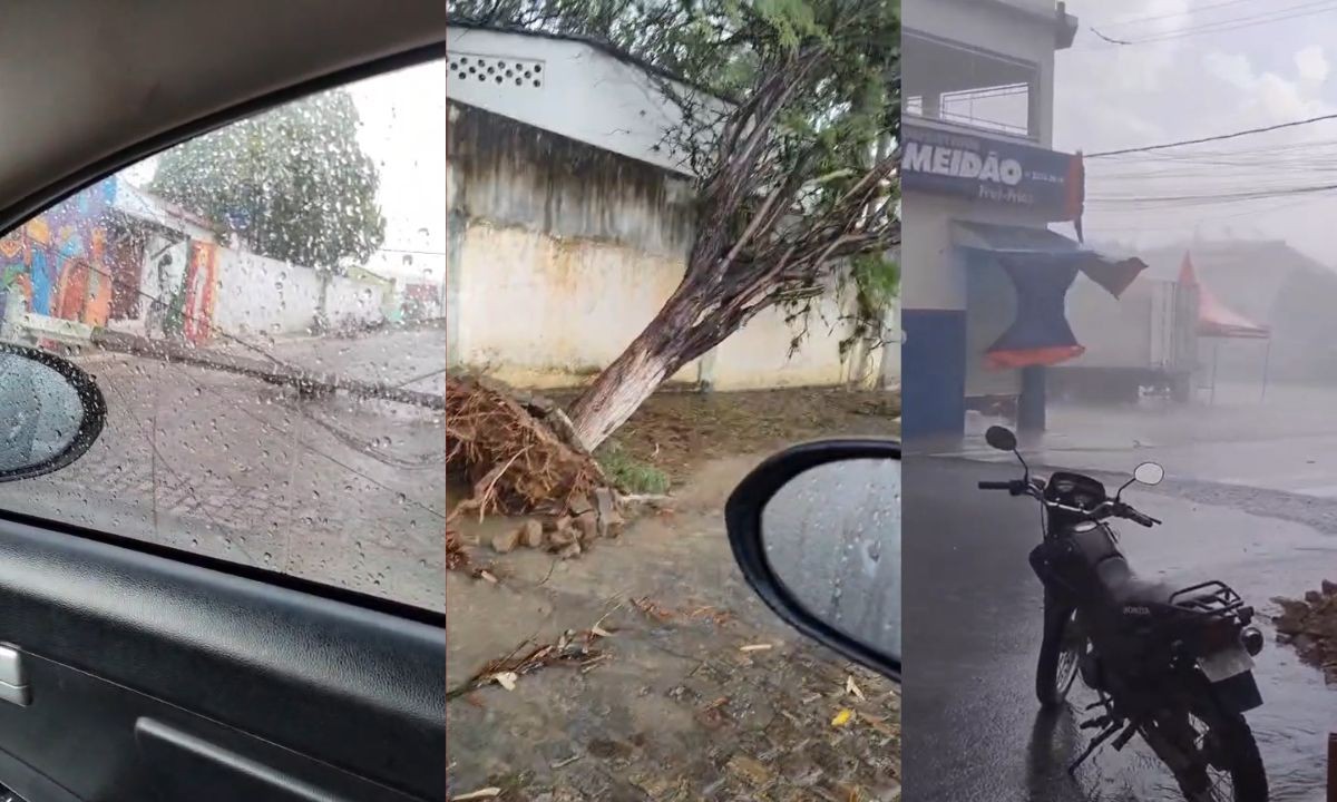 Chuva e ventos fortes derrubam postes e árvores em cidade do sul da Bahia