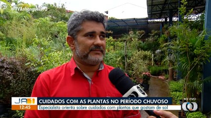 Especialista orienta como cuidar de plantas no período chuvoso