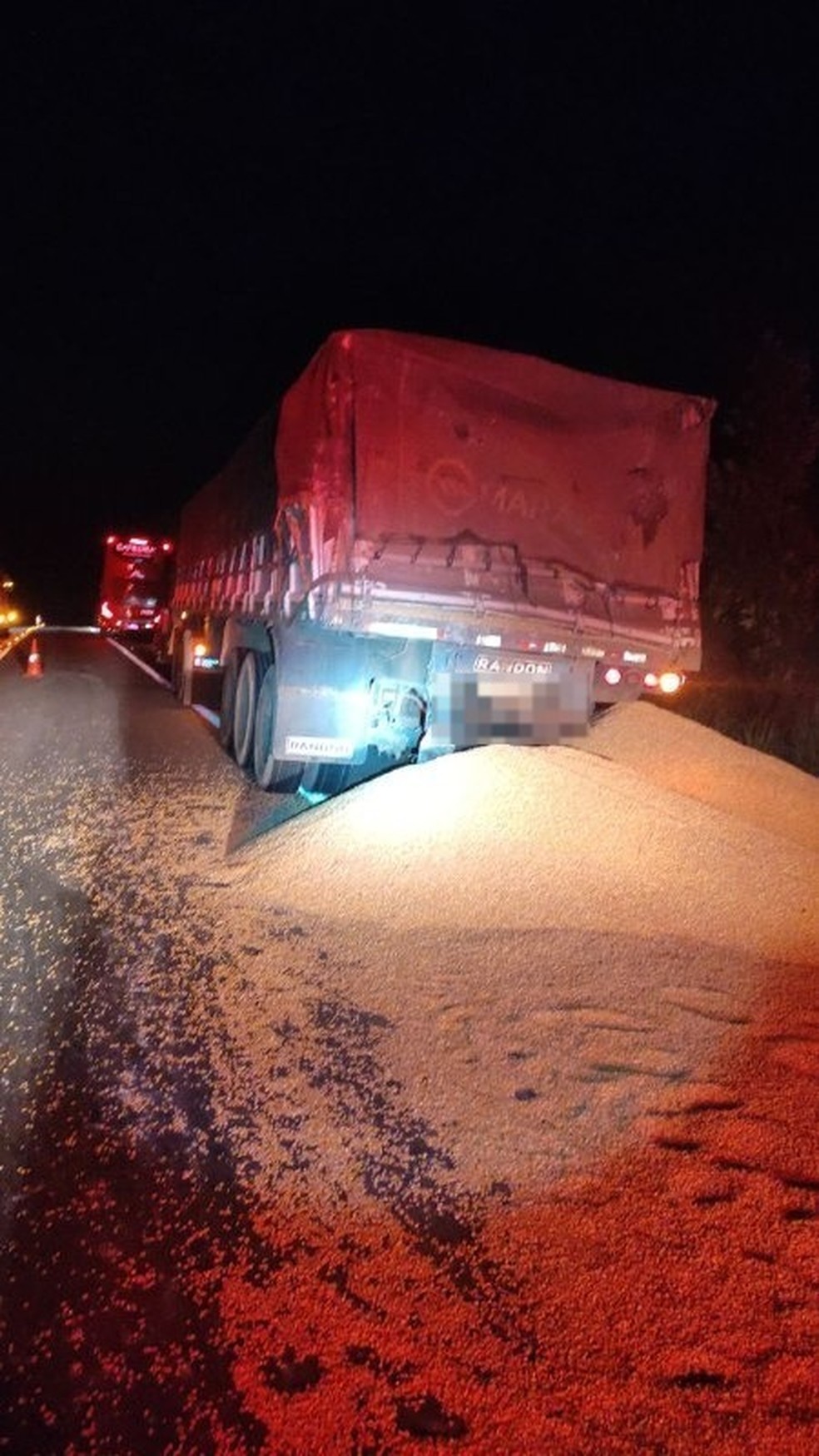 Carreta transportava grãos que ficaram espalhados na pista — Foto: Divulgação/PRF