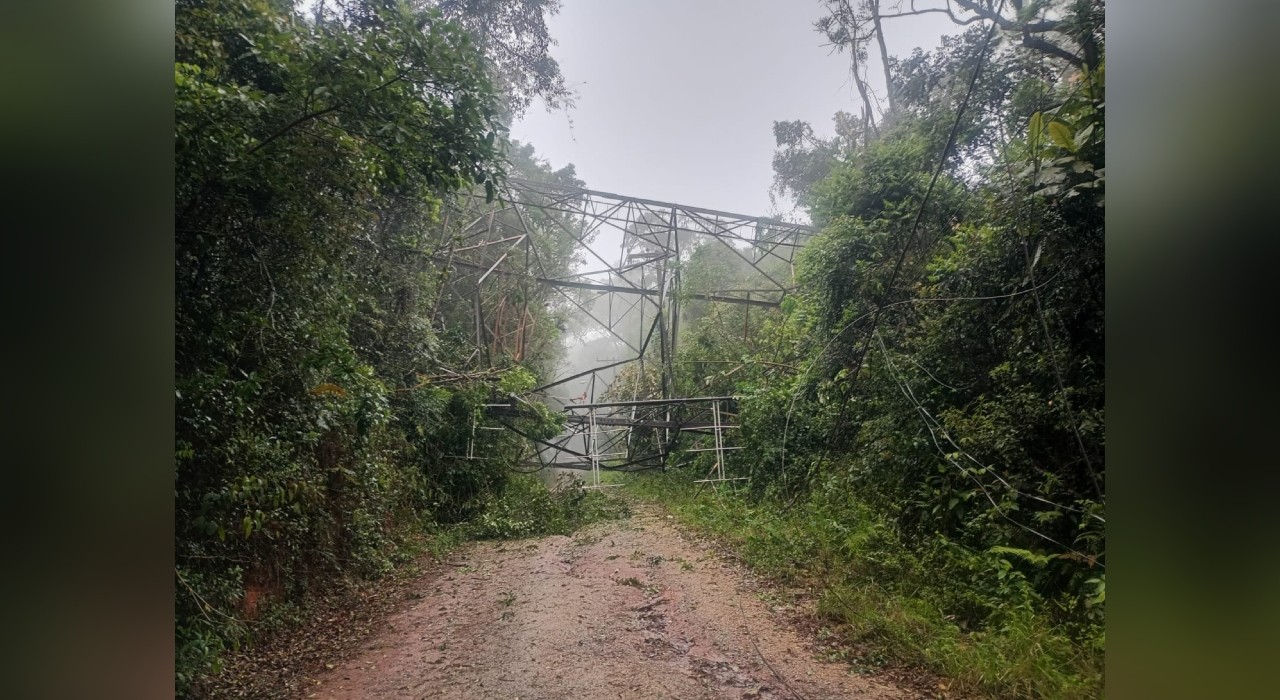 Cidades do interior de SP registram quedas de árvore e rajadas de vento de mais de 90km/h durante chuva forte 