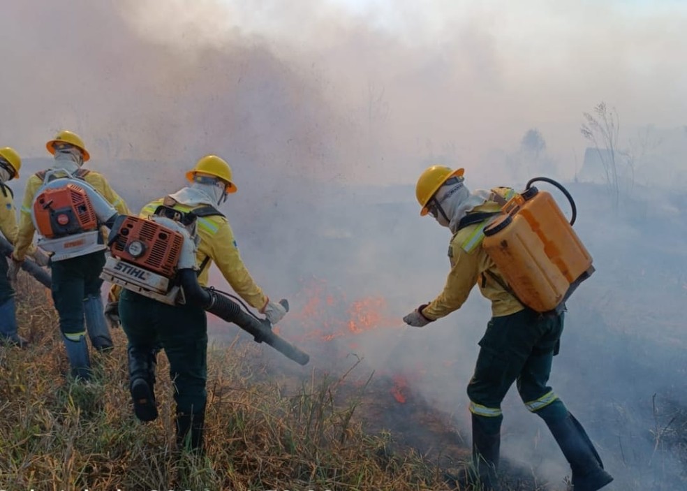 Municípios do sul do Amazonas lideram ranking do fogo. — Foto: Divulgação/Ibama-AM