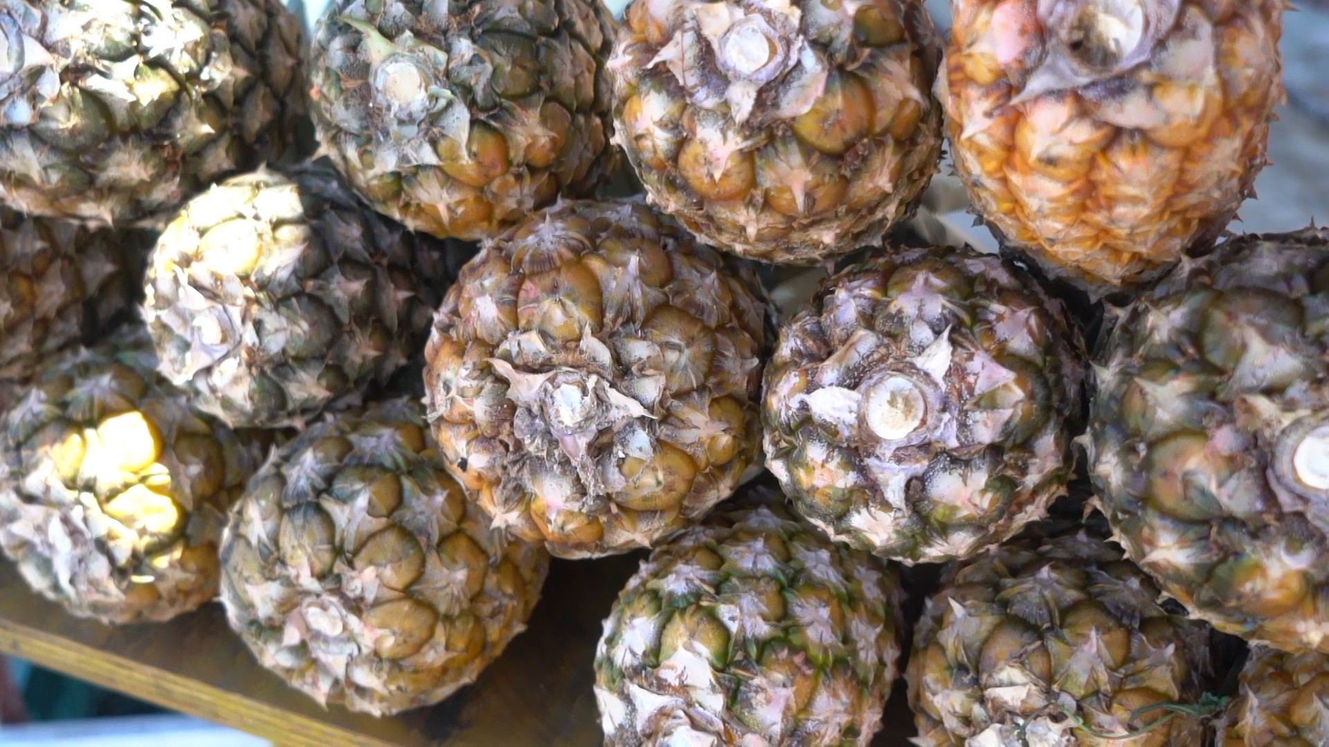 É #FAKE que 'água de abacaxi quente' cura câncer; mensagem falsa voltou a circular