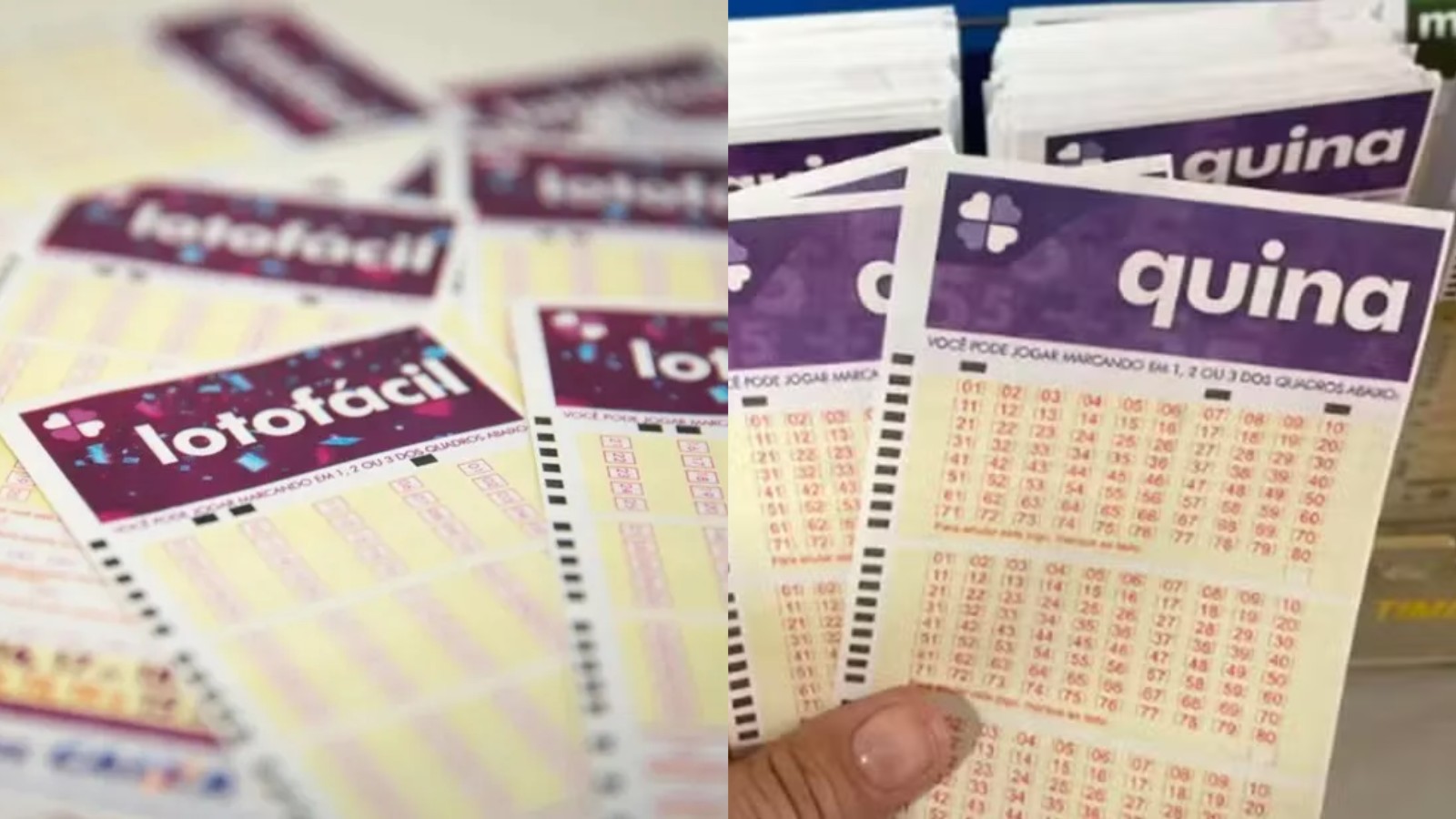 Lotofácil concurso 3544: apostas piauienses levam mais de R$ 12 mil; veja os locais