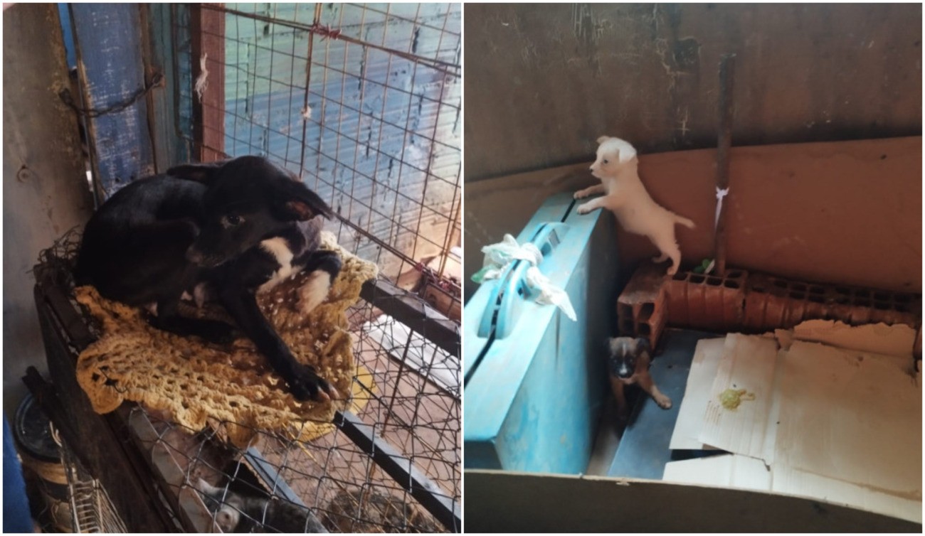 Você Não Tá Convidada pro Meu Bat Mitzvá!