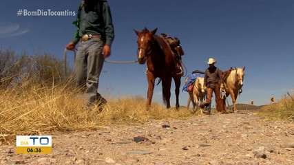 Veja quais são os destaques do Jornal do Campo deste domingo
