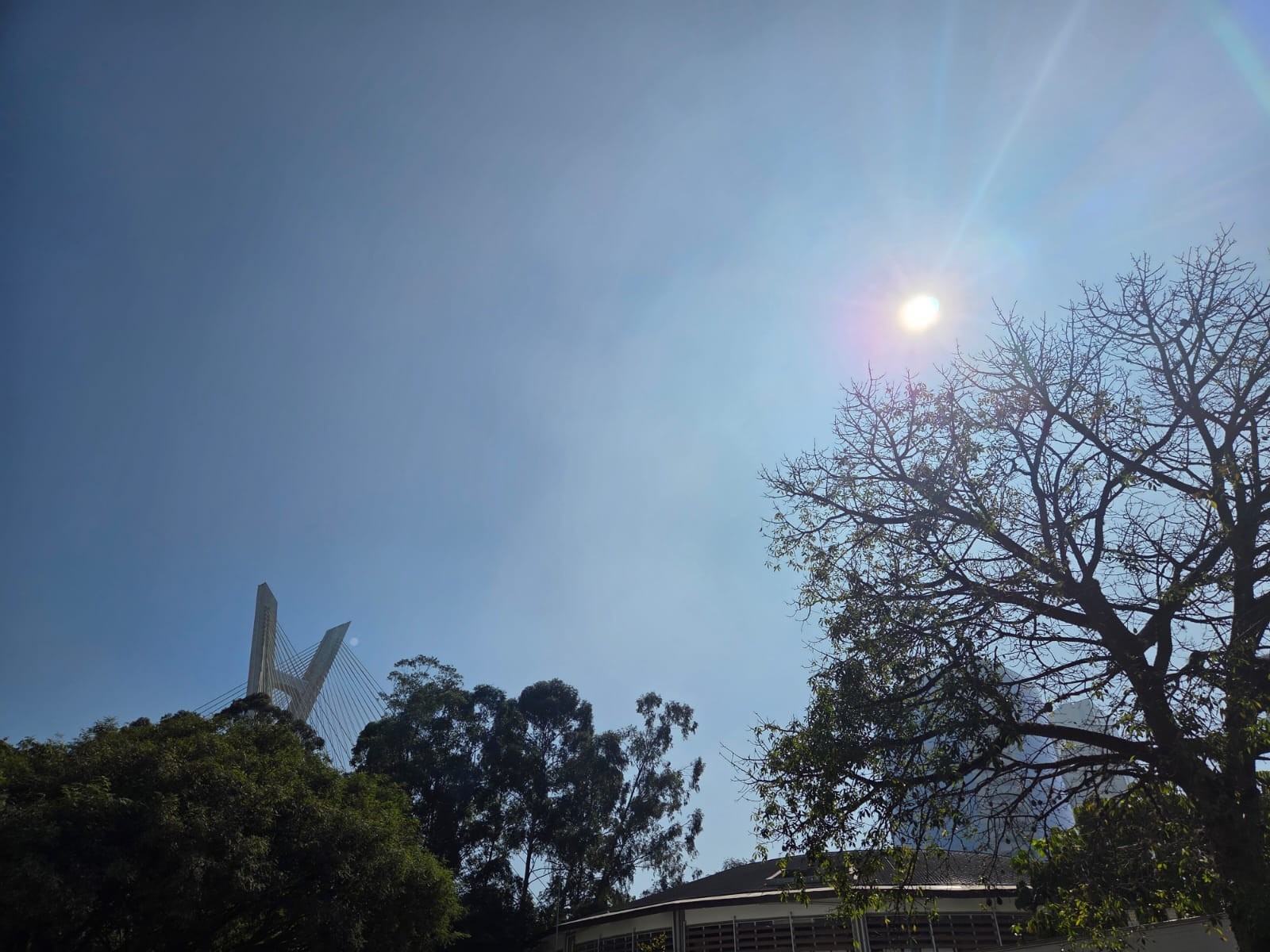 Feriado prolongado de 9 de Julho terá manhãs frias, tardes mais quentes e chance de chuva no domingo na cidade de SP