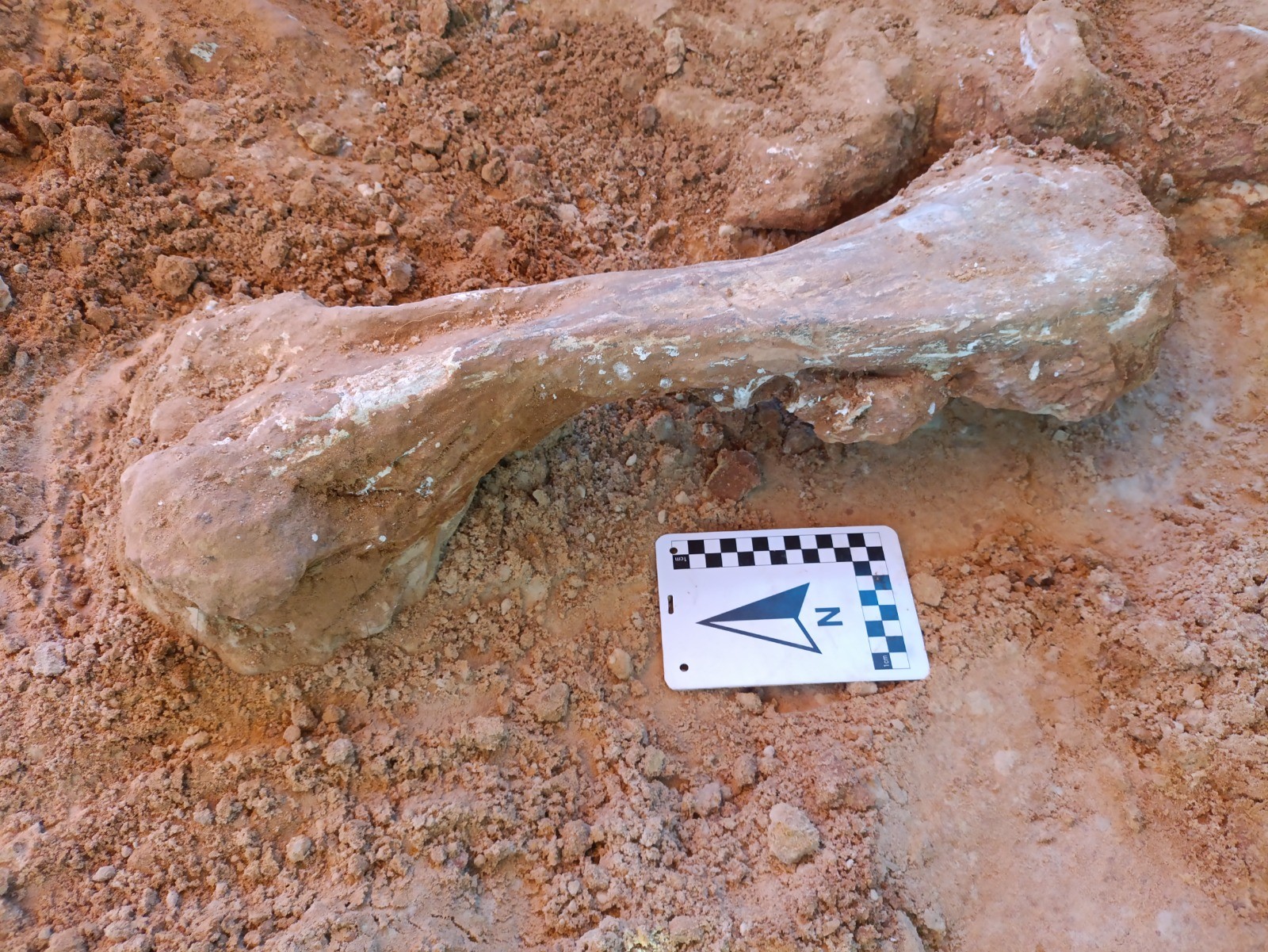 Lar de dinossauros: conheça habitat de criaturas pré-históricas que viviam em Chapada dos Guimarães (MT)