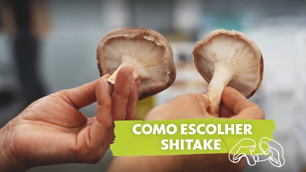 Cogumelo shitake fresco - Fácil