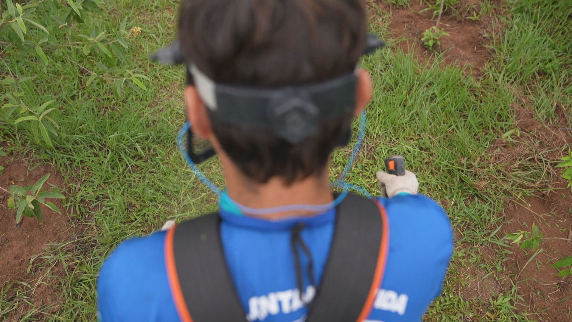 Projeto que utiliza mão de obra de detentos já plantou mais de 4,5 milhões de mudas no RJ