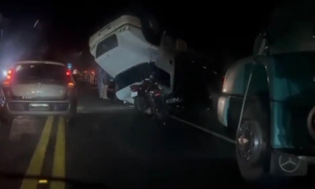 Veículo com gado sai da pista e tomba na PA-255, em Monte Alegre