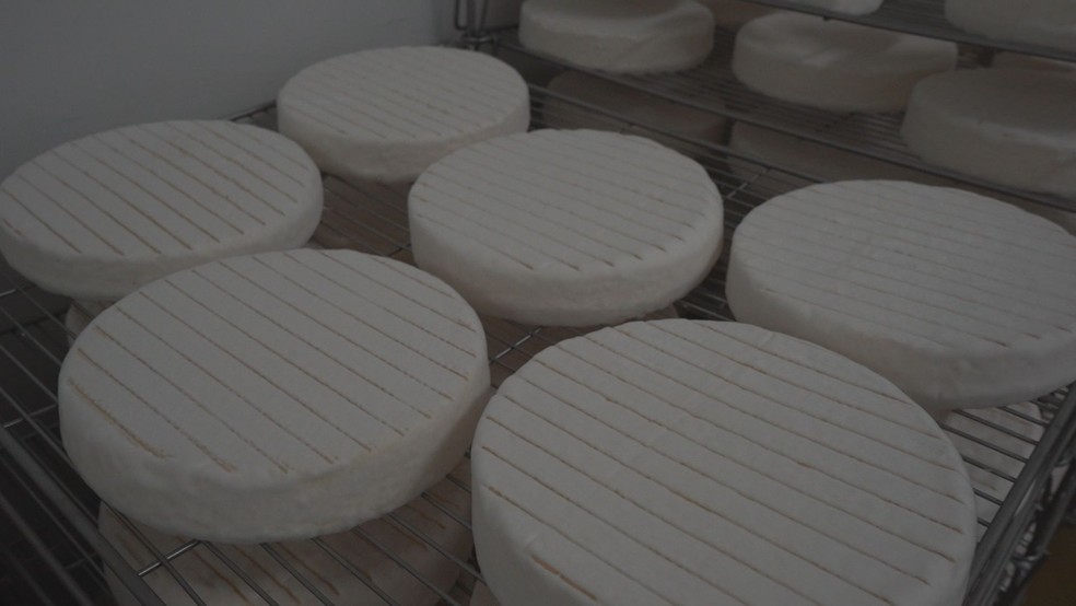 Brie, queijo francês produzido também no Sul de Minas — Foto: Devanir Gino/EPTV