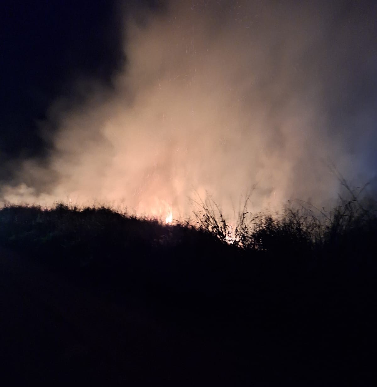 Incêndio de grandes proporções atinge quase 600m² de vegetação de terreno em Parapuã