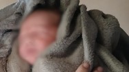 Beb com cordo umbilical  abandonado em calada de cidade em Gois
