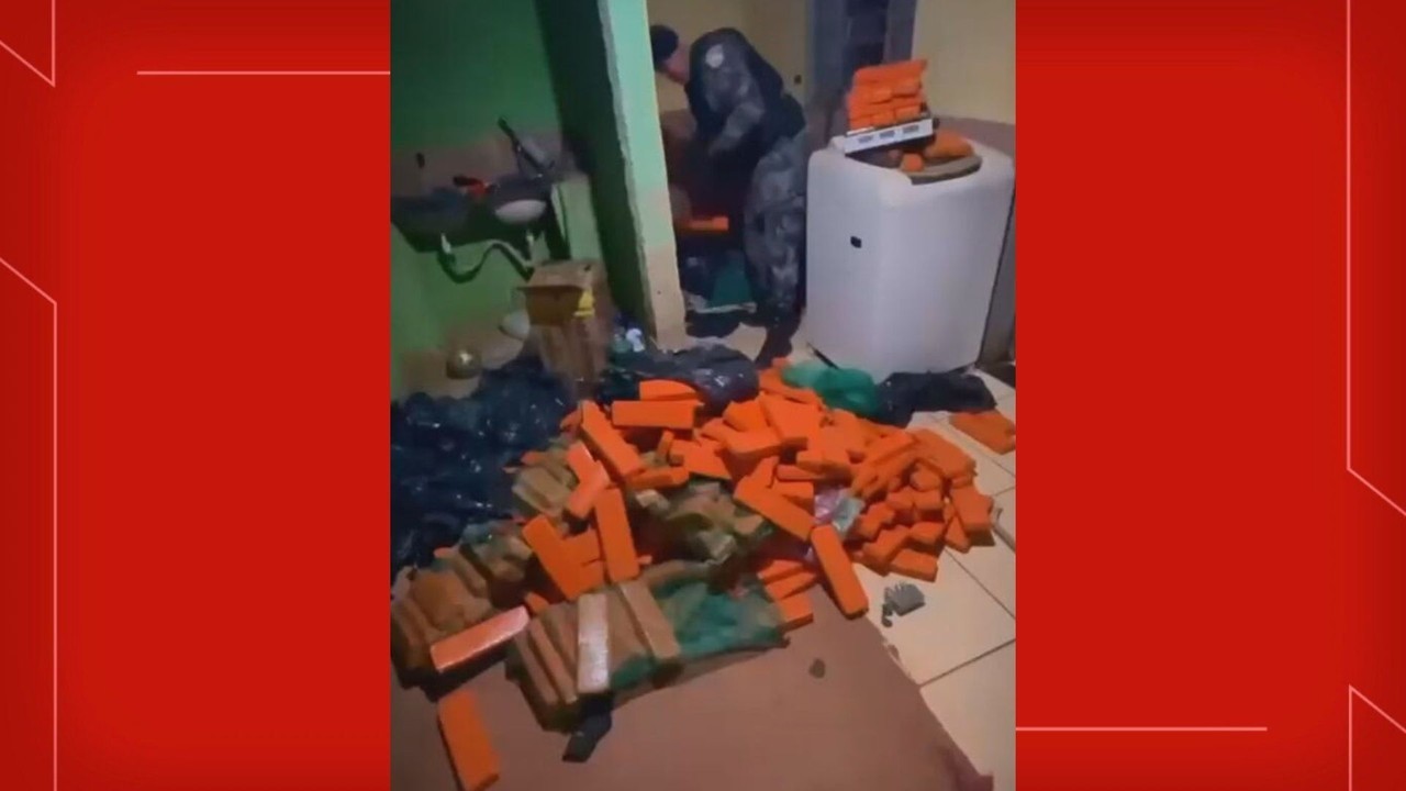Homem é preso com meia tonelada de maconha e armamento pesado no Sol Nascente; veja IMAGENS