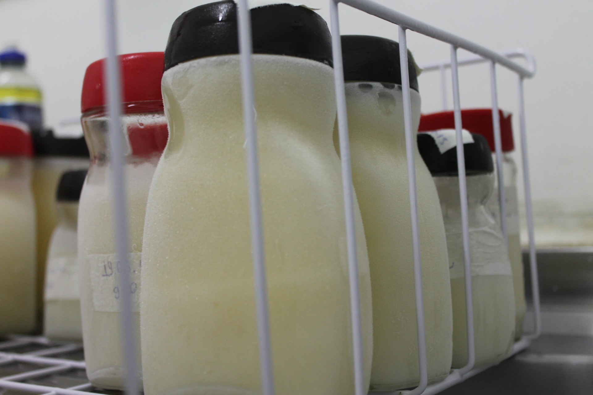 Biama de Petrolina tem estoque de leite limitado; saiba como doar