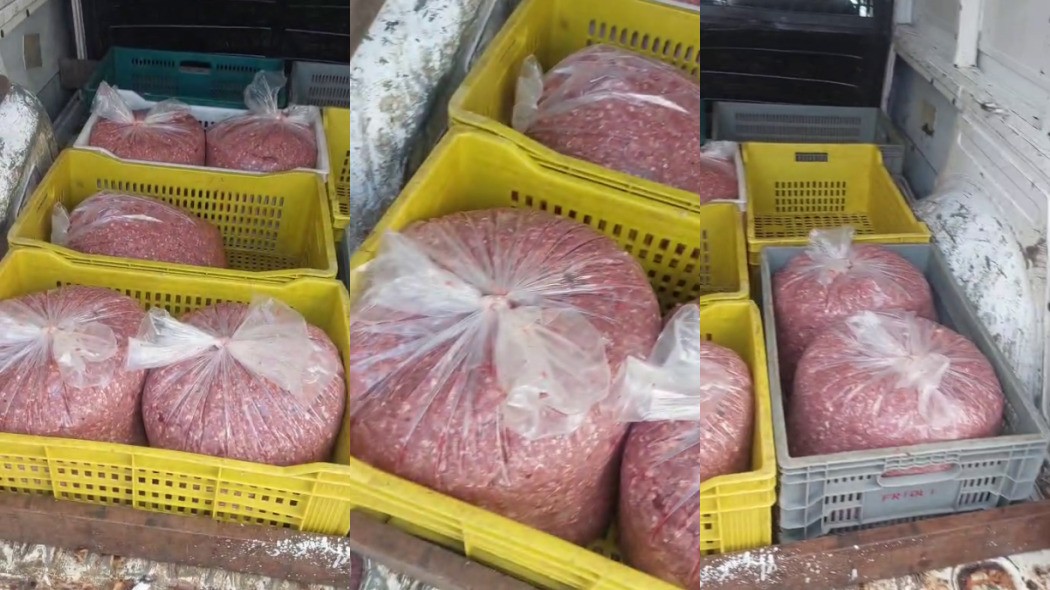 Carro com carnes estragadas é apreendido em BH; motorista disse que produtos seriam entregues para restaurantes da Savassi