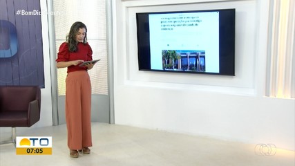 Veja os destaques do g1 Tocantins nesta quinta-feira (5)