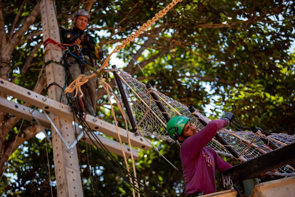 Passagem superior de fauna na BR-319 em trecho do Amazonas — Foto: Michael Dantas/WCS