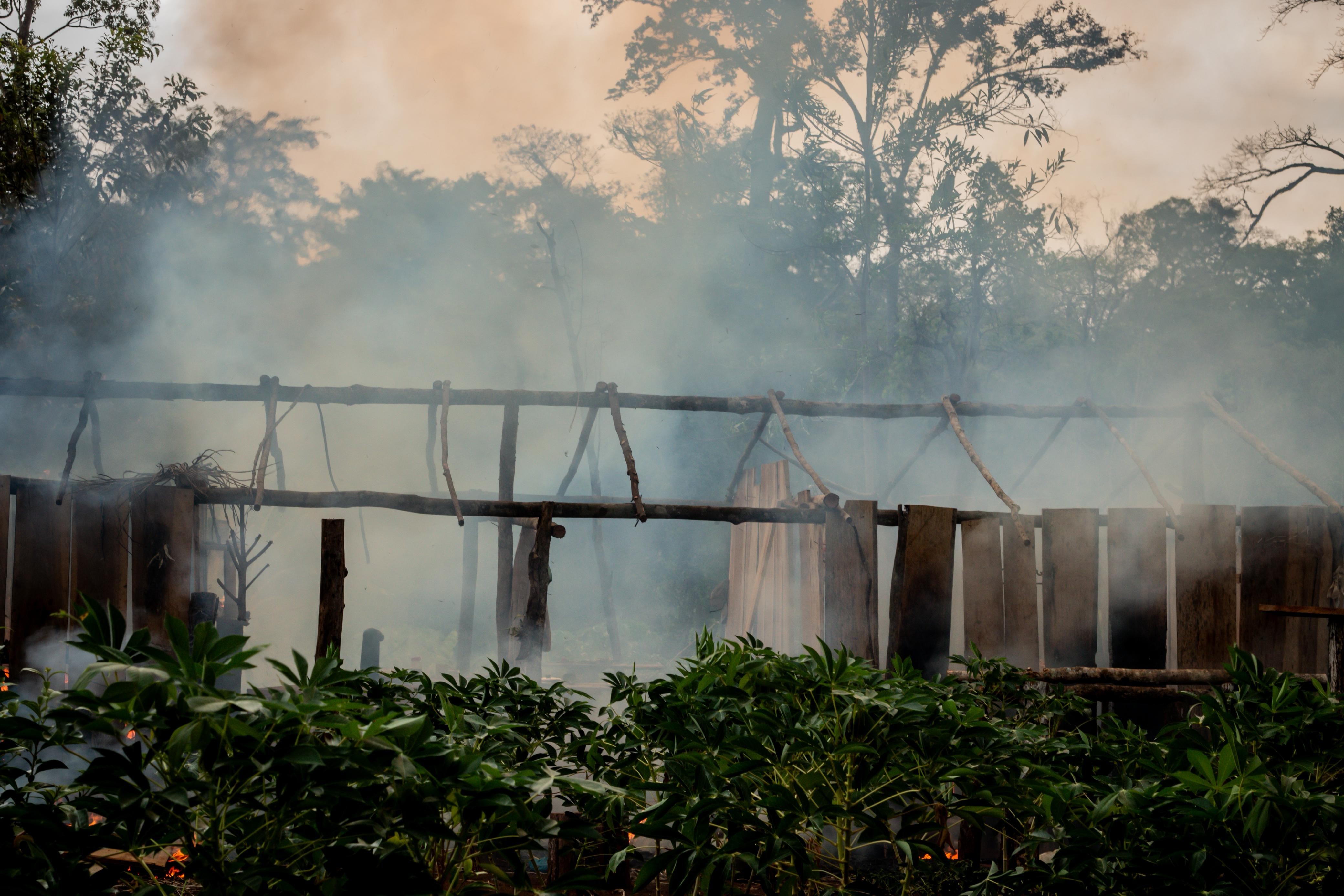 Indígenas reagem à invasão em terra demarcada em MT — Foto: Arquivo pessoal