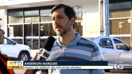 Dois casos de febre Oropouche são identificados no Tocantins; conheça a doença