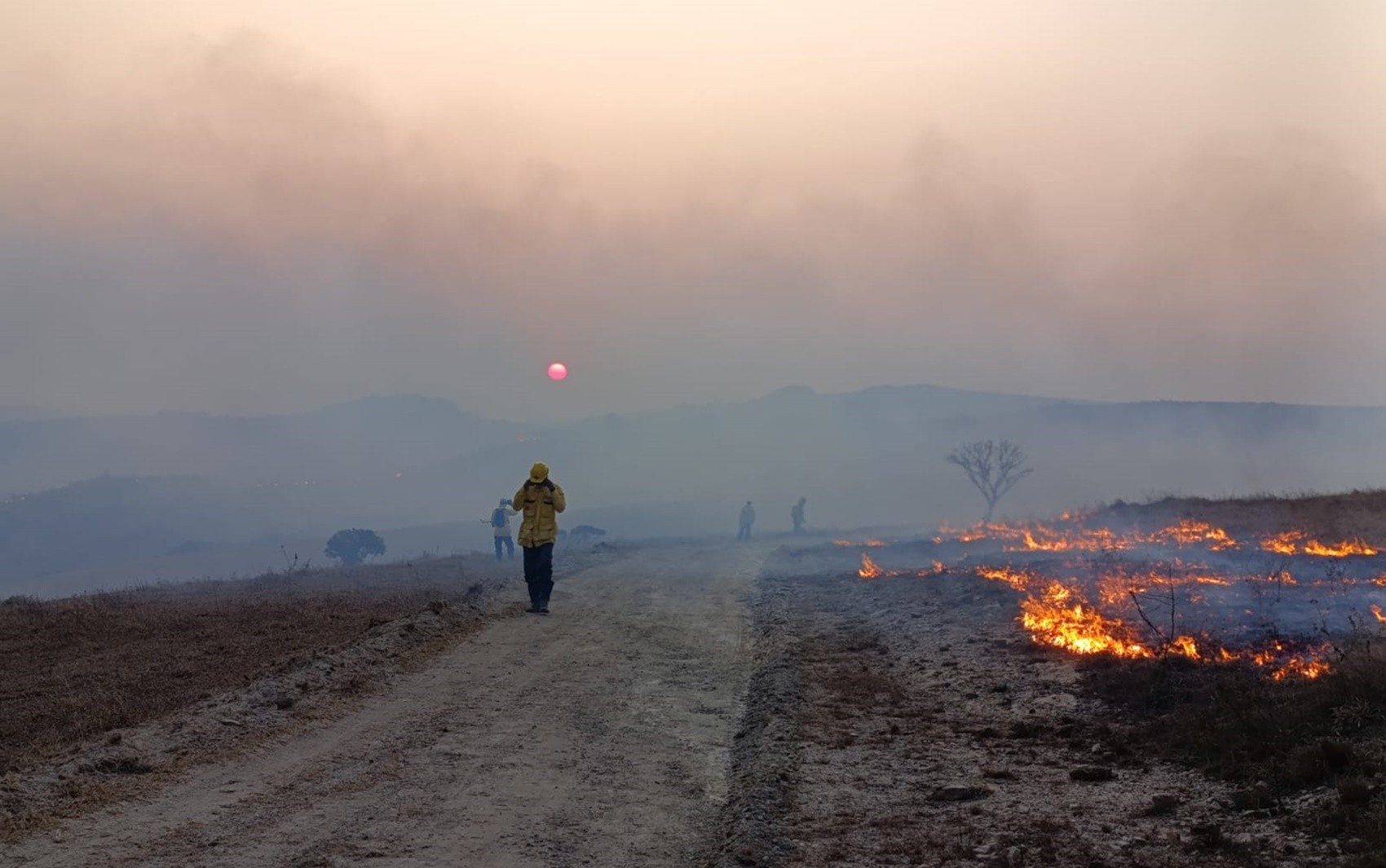 Incêndios atingem Serra de Carrancas e Serra do Chapadão, entre Guapé e Ilicínea, MG