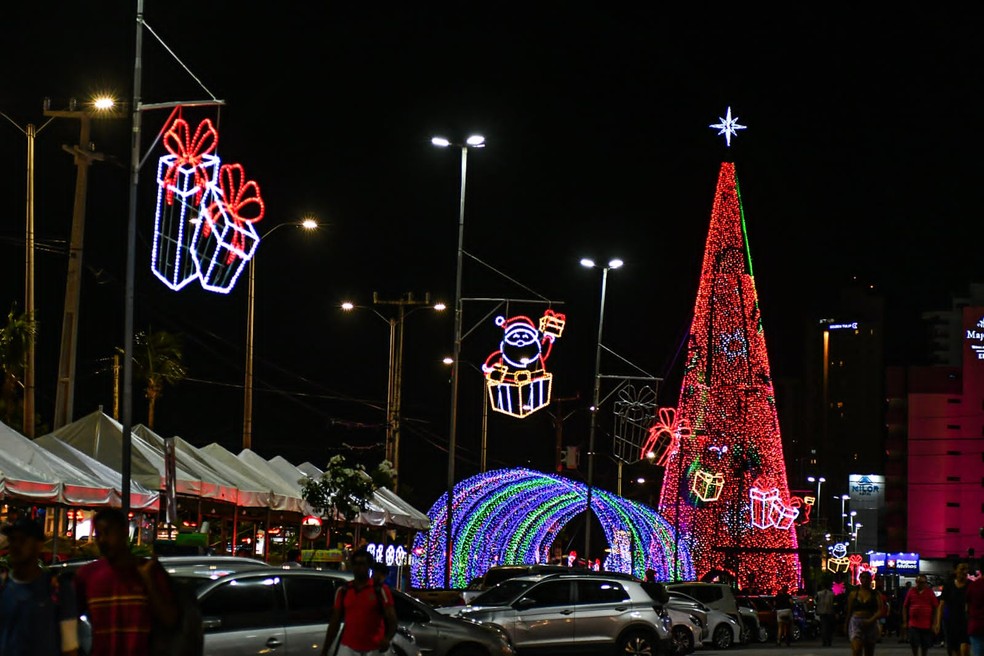 Árvore de Ponta Negra em 2023 — Foto: Joana Lima