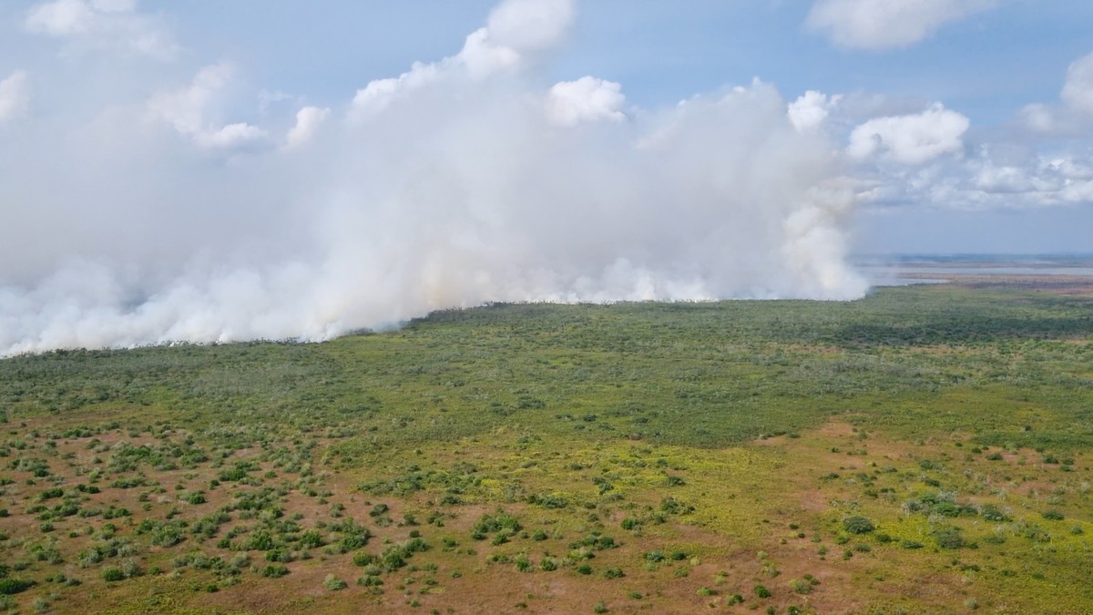 Incêndios já consumiram mais de 8