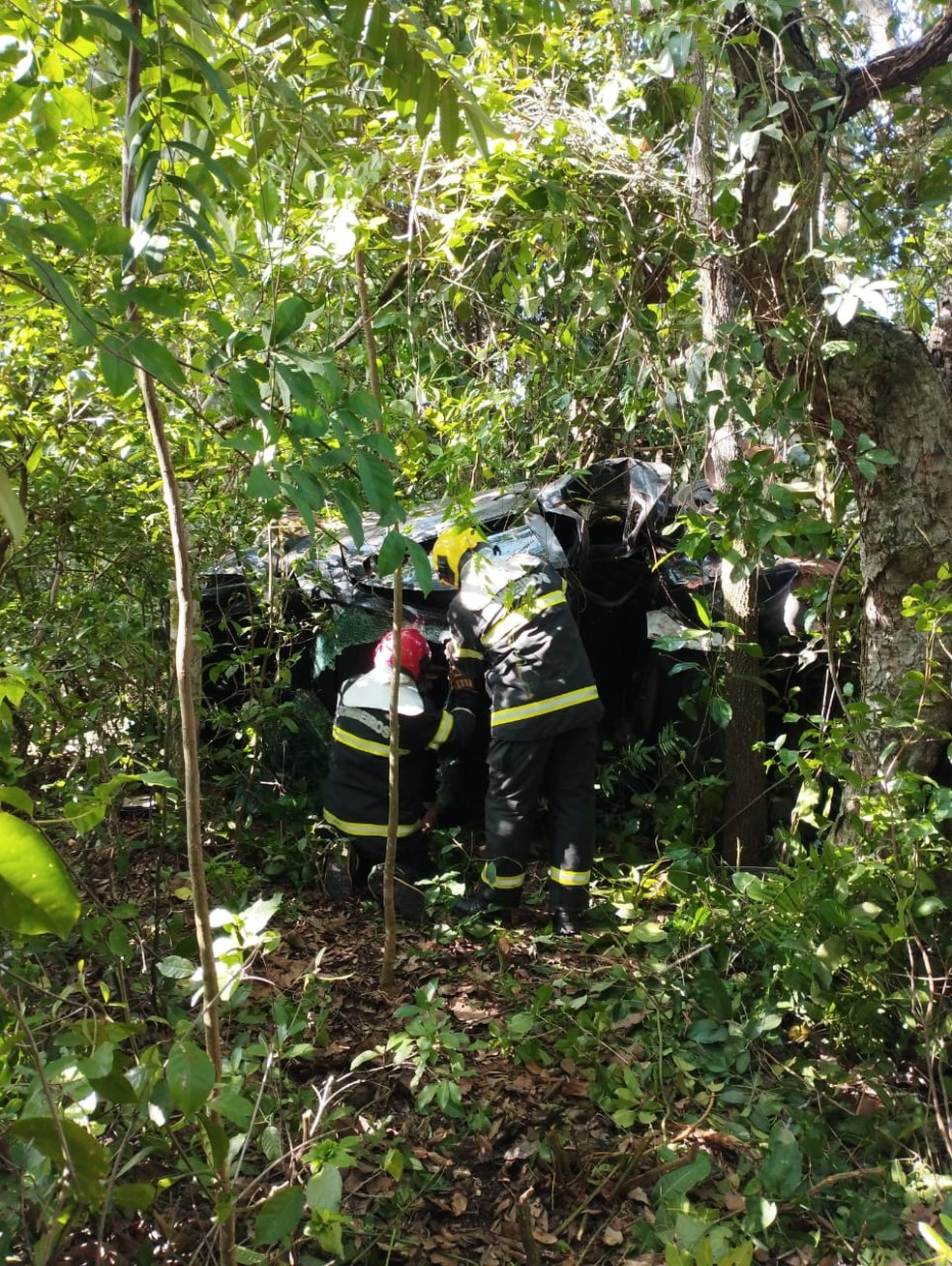 Motorista morre aps carro sair da pista e bater em rvore, em Nova Rosalndia  Foto: Reproduo/Corpo de Bombeiros