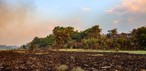 Comunidade Canaçari, em Itacoatiara, queima há 20 dias de incêndio - 8 de outubro de 2026 — Foto: Liam Cavalcante/Rede Amazônica