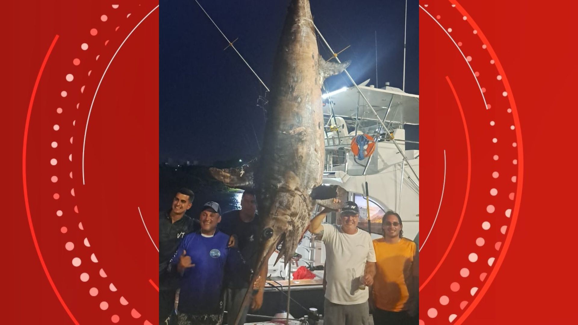 VÍDEO: guindaste é usado para mover peixe de mais de 300 kg pescado em Guarapari 