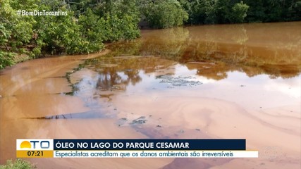 Dano ambiental por óleo no rio do Parque Cesamar é irreversível, dizem especialistas