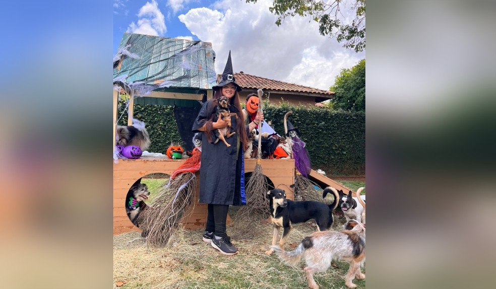 Para entrar no clima de Halloween, a creche foi decorada com fantasmas, abóboras, túmulos e morcegos — Foto: Reprodução/Petzin