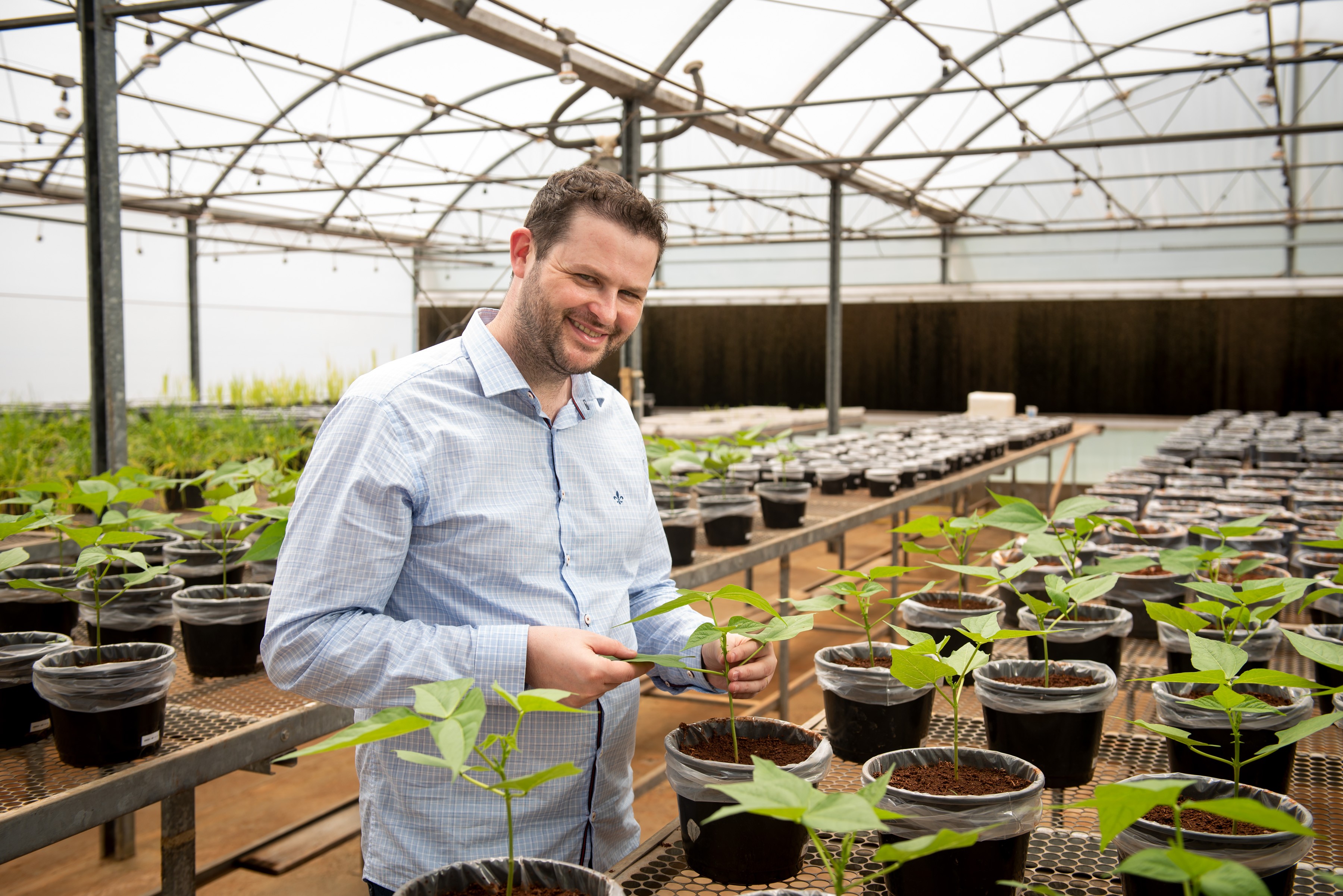 Estudo traça potencial da América para usar agropecuária sustentável para reduzir aquecimento global