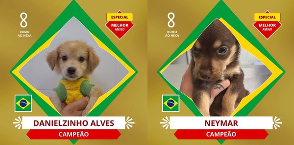 Estudante encontra figurinha rara de Neymar e torcedores oferecem relógio e  até ninhada de cachorro em troca - TV Pampa