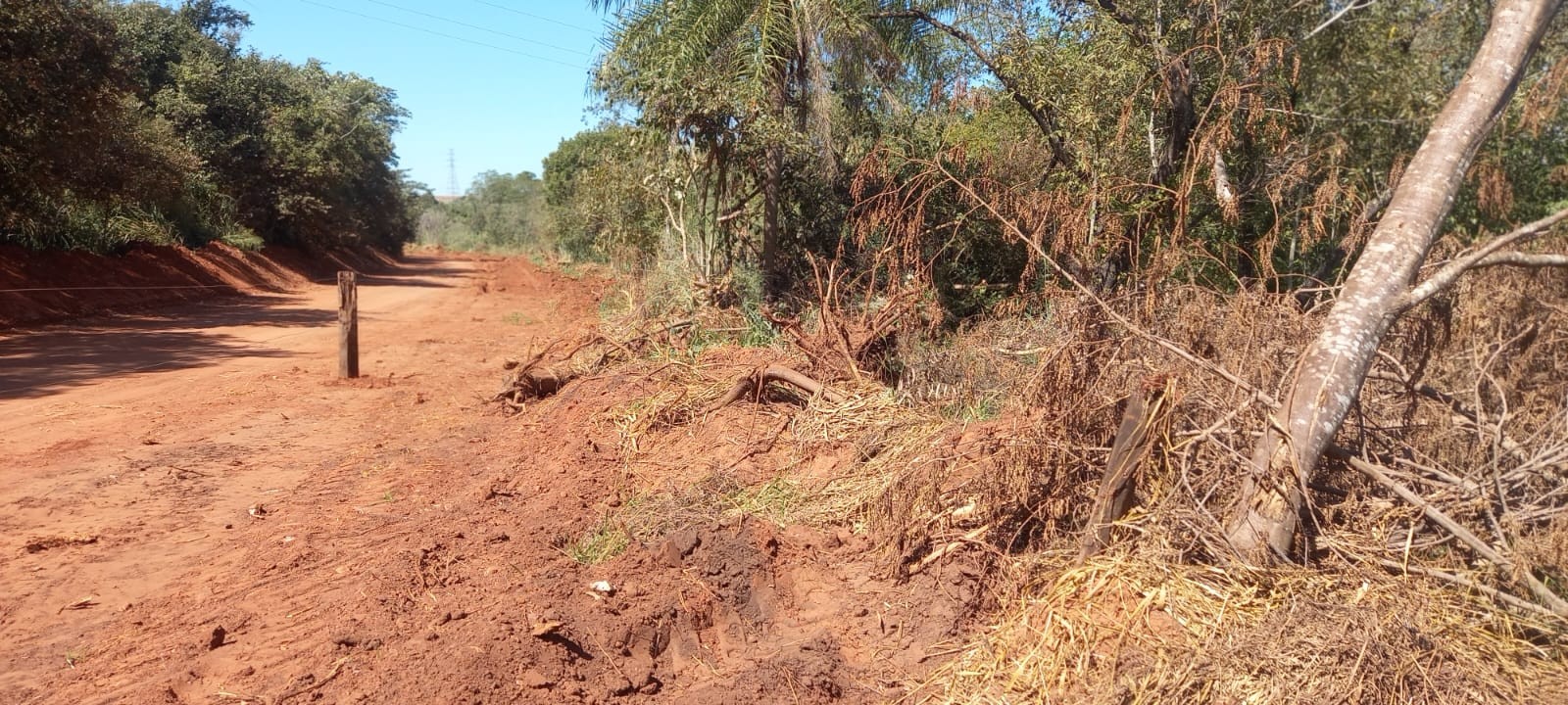 Homem é multado em mais de R$ 3 mil após destruir vegetação nativa para manutenção de estrada rural, em Presidente Venceslau