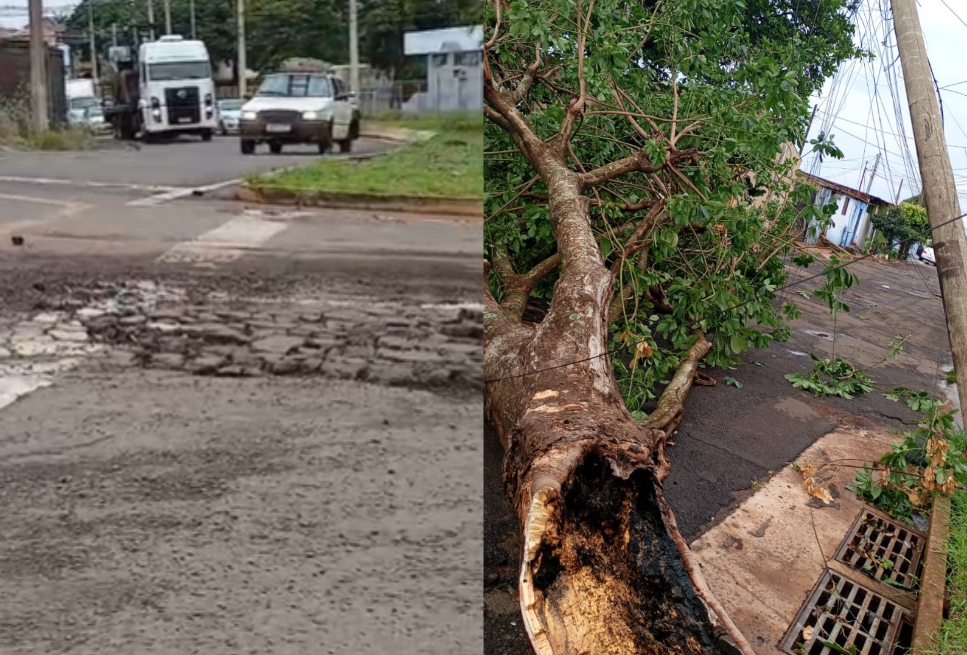 Temporal em Campo Grande: equipes trabalham em mais de 200 pontos