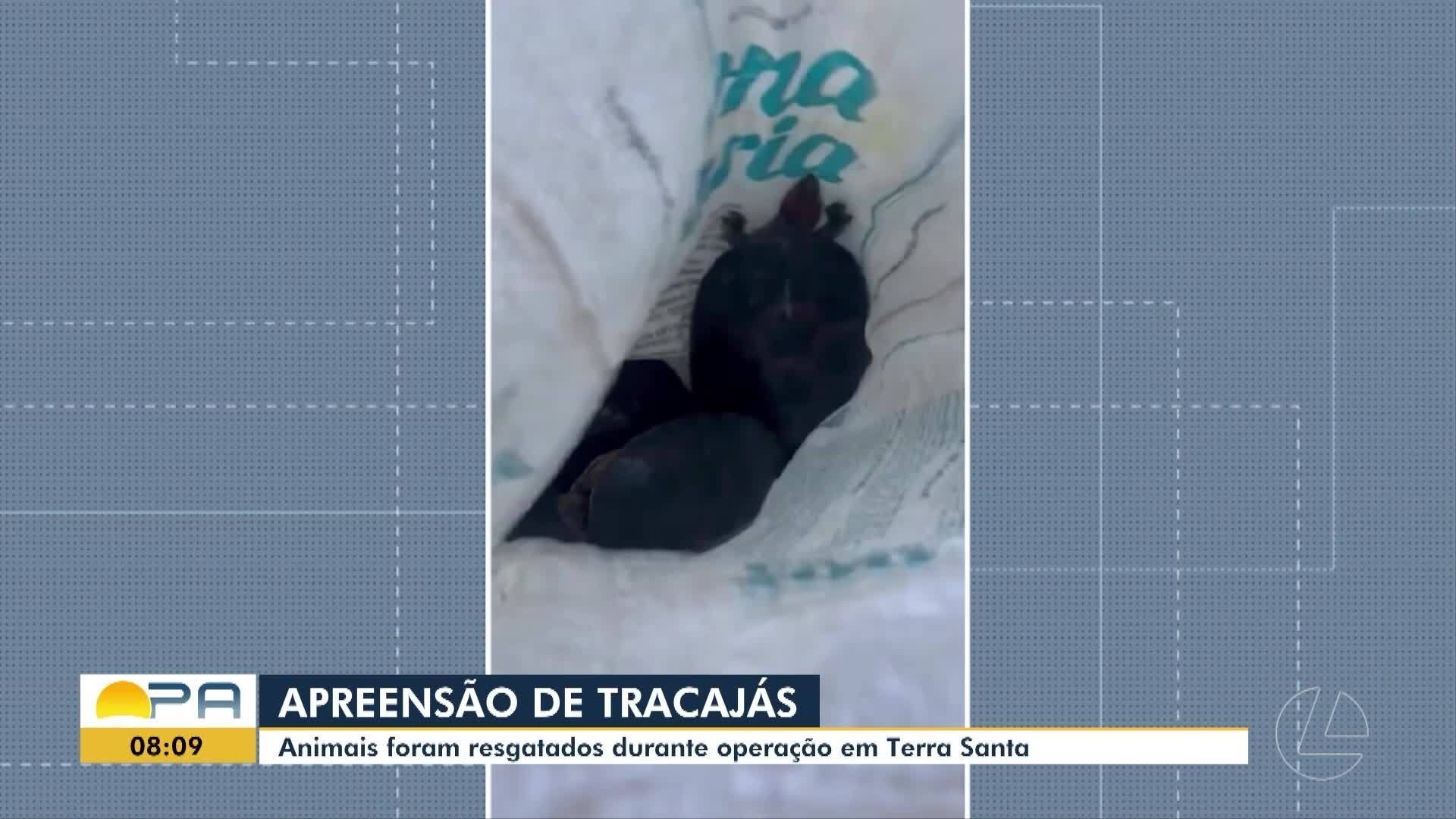 VÍDEOS: BDP de quinta-feira, 16 de outubro de 2025