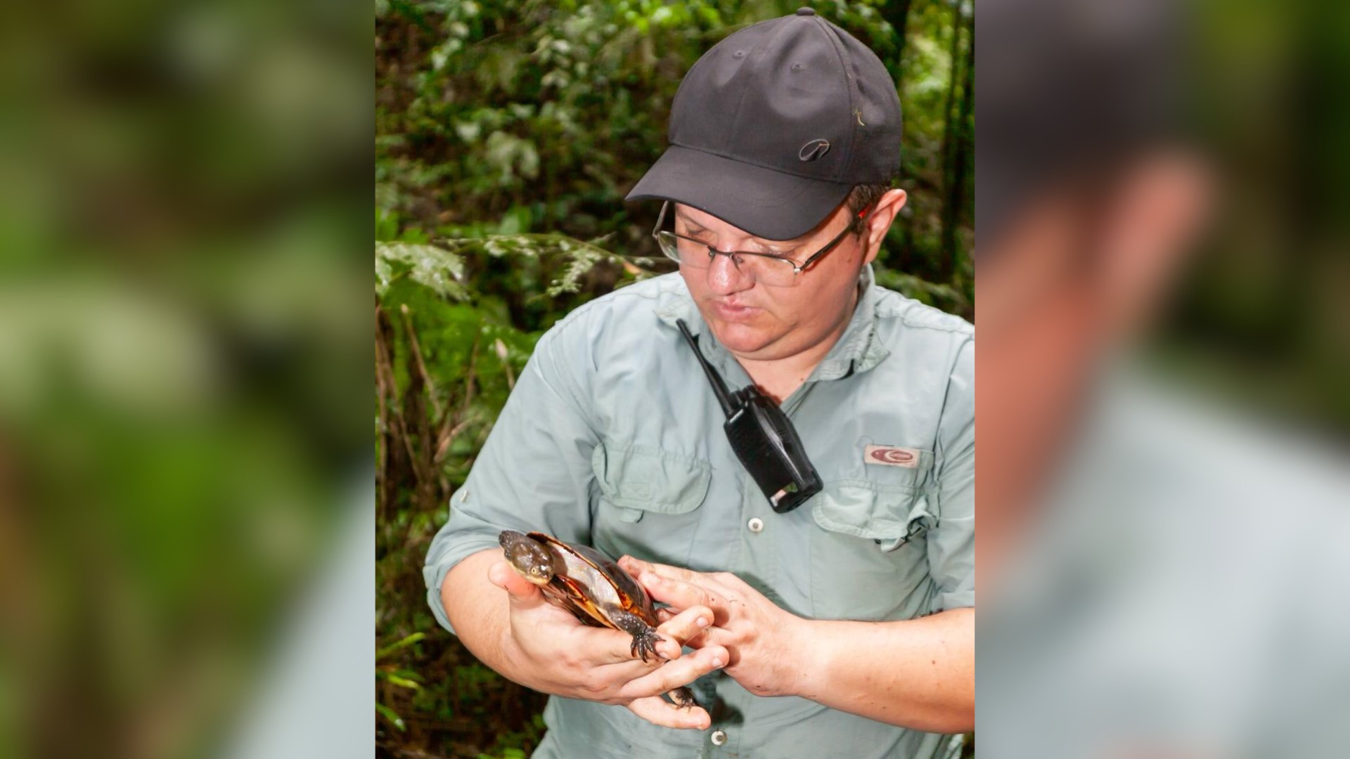 Professor de Sorocaba é finalista do Jabuti Acadêmico com livro sobre tartarugas e jacarés