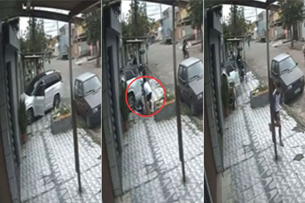 Motorista reage a assalto após criminoso invadir carro e veículo bate contra casa no litoral de SP; VÍDEO