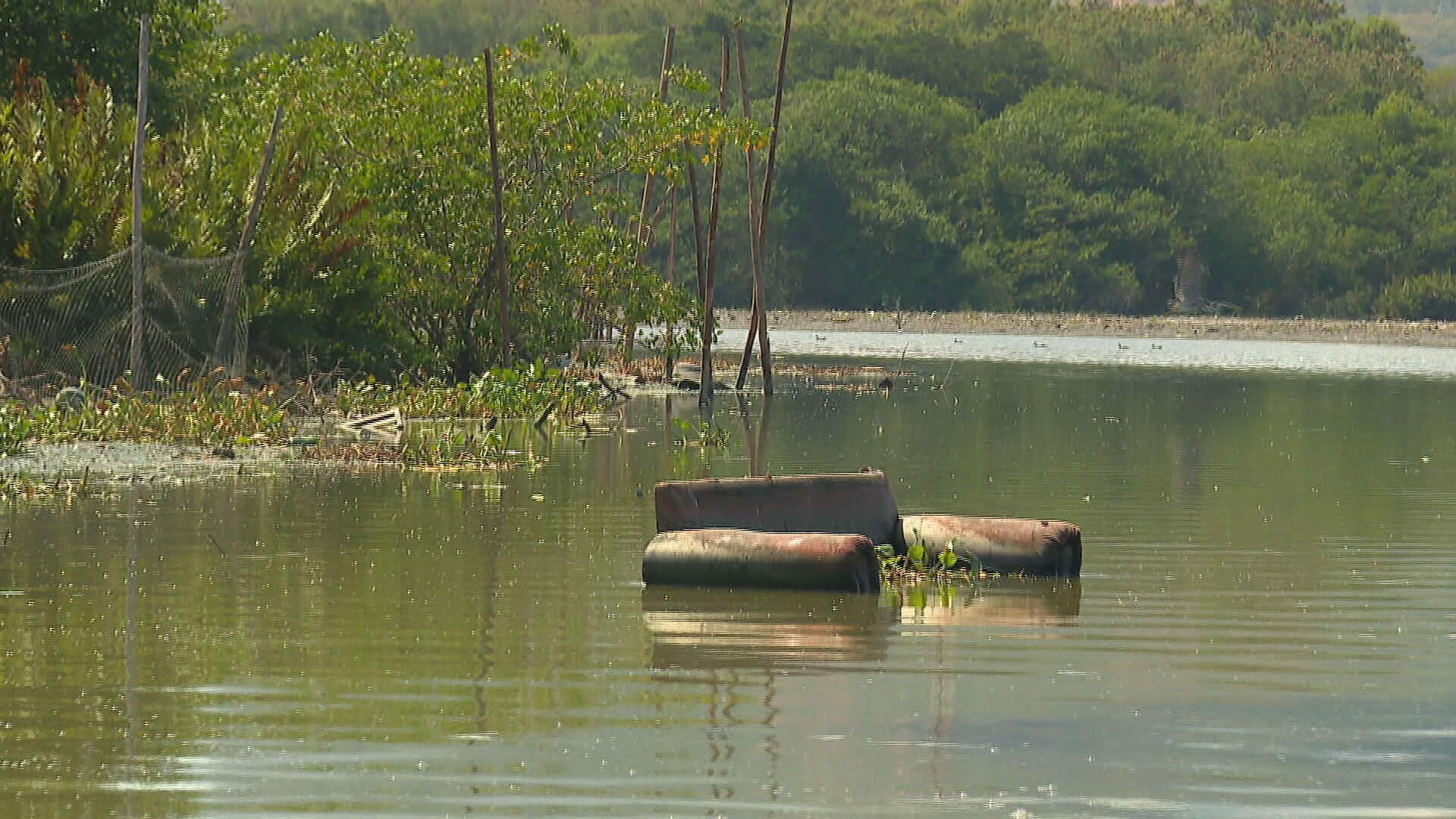 Vistoria encontra 50 sofás e poltronas descartados na Lagoa da Tijuca