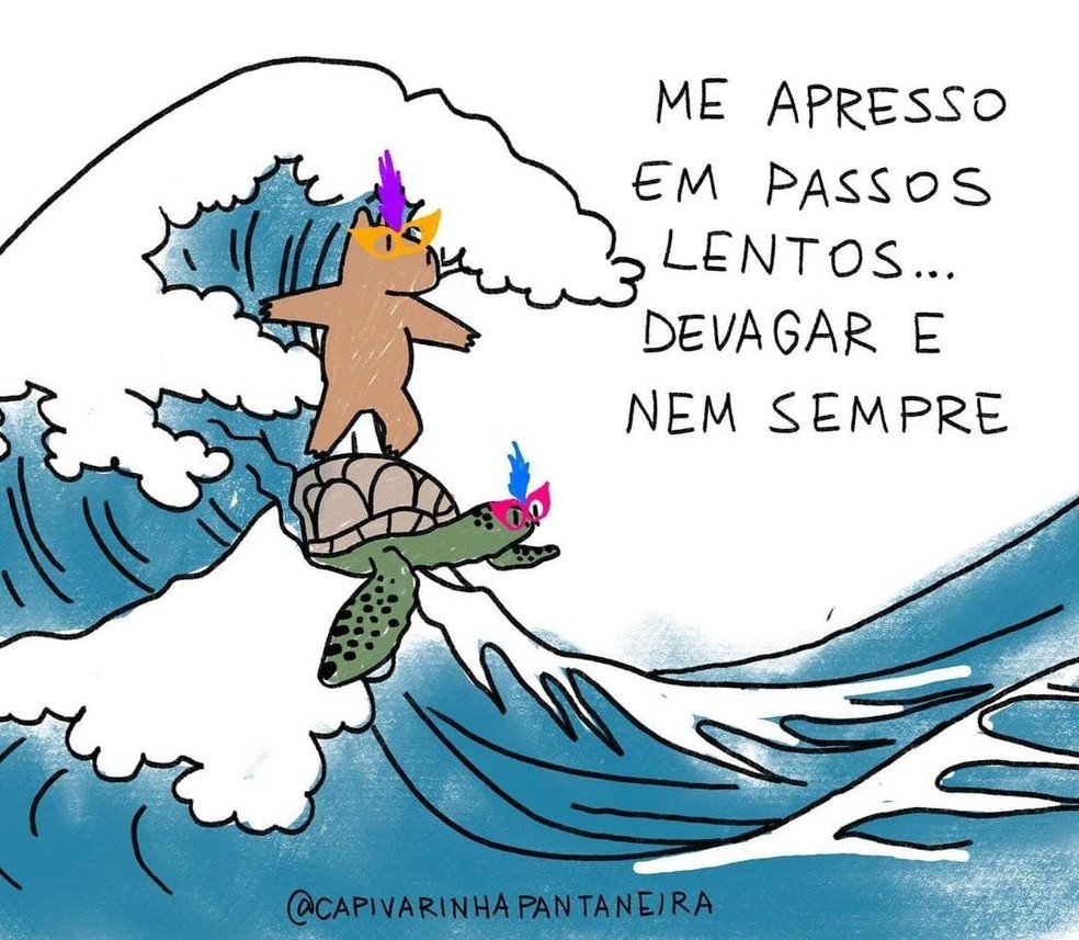 A Capivarinha virou uma celebridade nas redes sociais — Foto: José Filho/@Capivarinhapantaneira