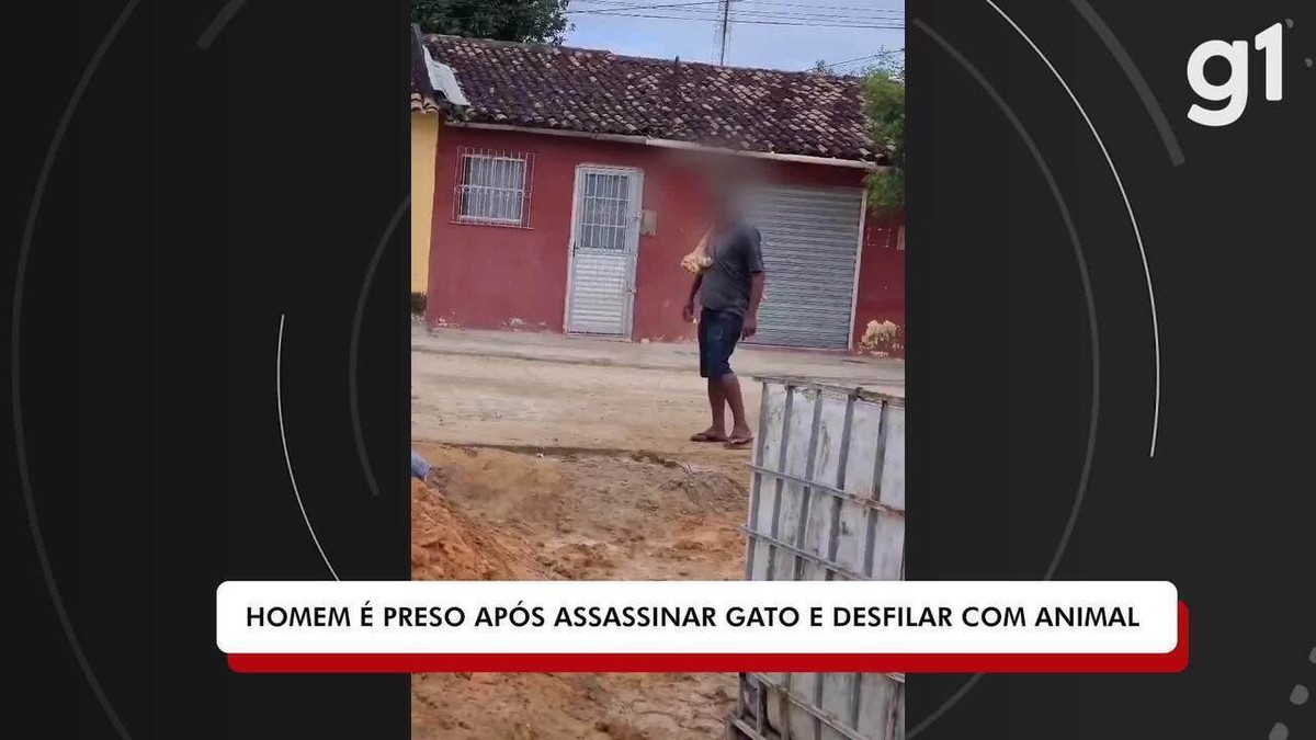 VÍDEO: homem é preso após assassinar gato e desfilar com o animal nas costas em Buíque; 'troféu pelas ruas'