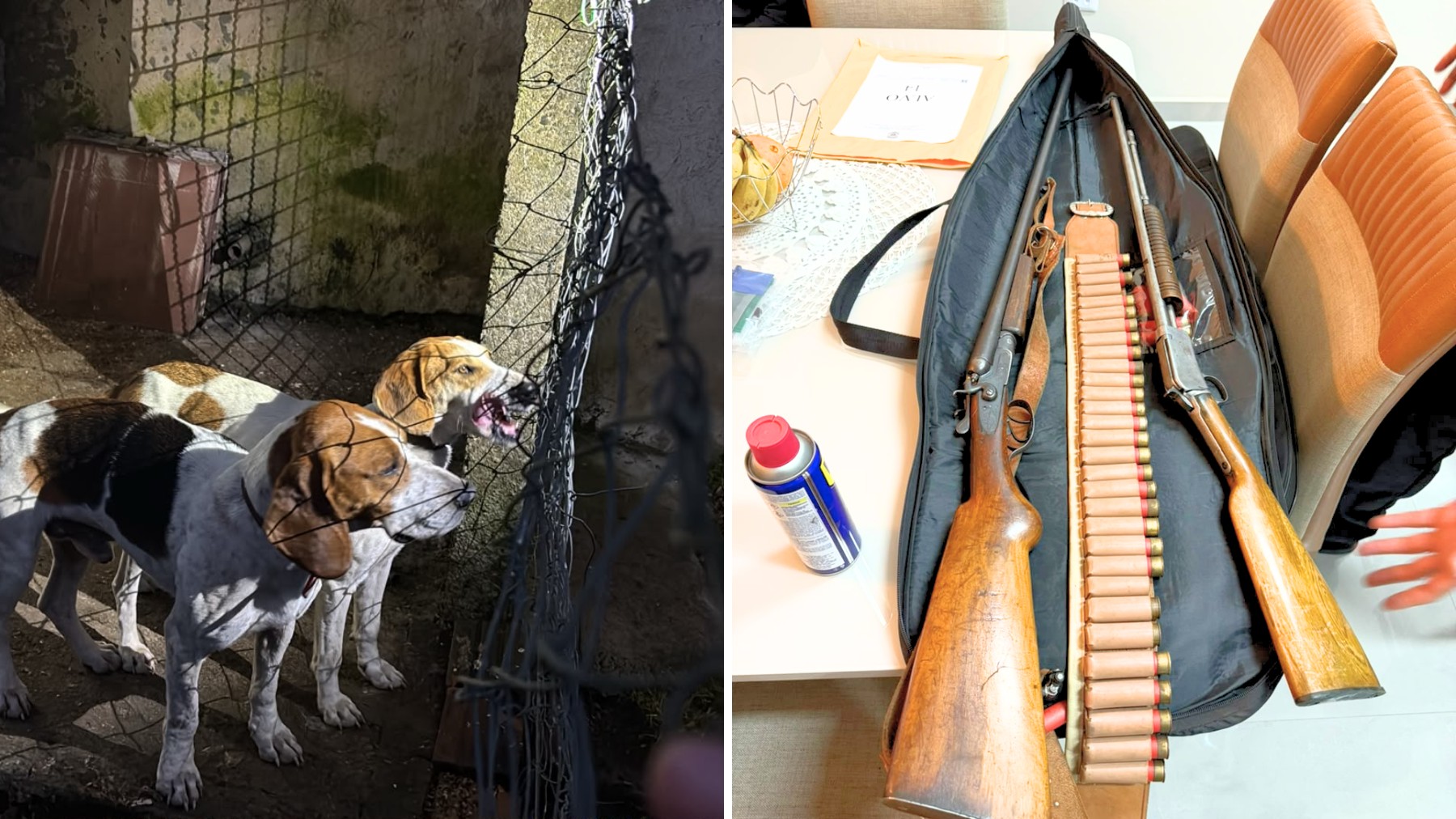 Caçadores ilegais envolvidos com tráfico de armas e animais são alvo de megaoperação policial no Paraná e outros dois estados